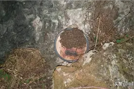 屋漏偏逢连夜雨图片