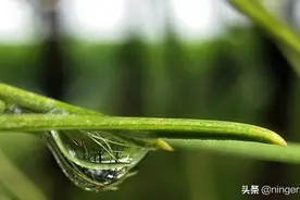 滴答滴答~~图片