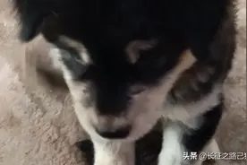 第一眼就看上你，也许这就是一见钟情吧图片