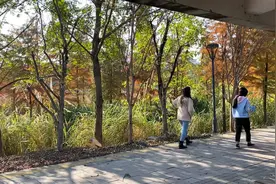 公园找小姐姐聊天，小姐姐看我转身就走！视频封面