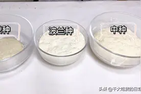 干货分享，汤种、波兰种、中种，做法简单，学会了，轻松驾驭面包视频封面