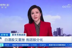 【#白酒股又遭重挫##分析师认为白酒板块或将现明显分化#视频封面