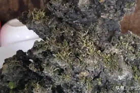 陕北吸水石！图片