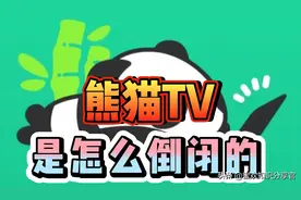 王思聪旗下熊猫互娱破产拍卖，还记得熊猫TV是怎么破产的吗？