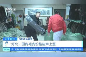 【#丹麦过半数养殖貂已被捕杀#，水貂养殖或被终结！国内视频封面