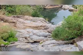 小时候画在手腕上的表，永远都不会走，却带走了我们最美好的时光视频封面
