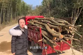 小婷花9000元买的三轮车，在农村真实用，装一车柴火可以烧两个月视频封面