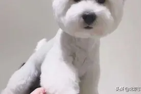 我就静静的看着你…看着你…看着你.图片