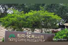 深圳松岗花果山公园和西游记里孙悟空老家花果山风景哪个更美图片