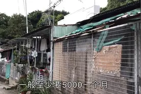 香港元朗屏山 贫富悬殊最大的地区 5000一个月租只能住铁皮屋？？视频封面