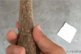 断节的鱼竿，可以这么干。图片