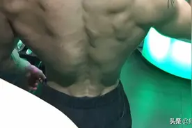 圣诞树快成型了图片