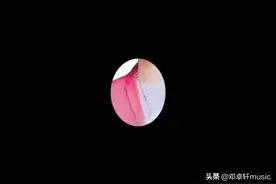 《百香果》视频封面