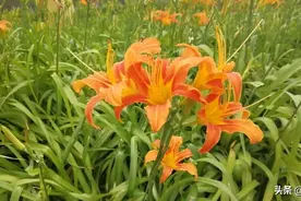 乌鲁木齐我的家图片