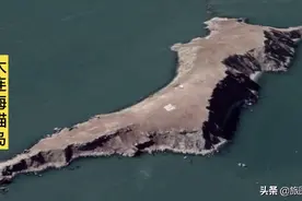 大连无人岛，面积仅0.03公里，盛产海胆海参鲍鱼，数万水鸟的家视频封面