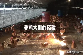 秋冬季昼夜温差大，晚上鸡棚怎么做到既保暖又换气提高成活率呢？视频封面