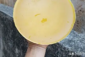 纯野生蜂腊  诱蜂不可缺少的 诱蜂季到了 做好诱蜂准备了吗？图片
