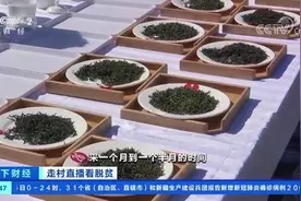 【“户户炒茶叶，人人学制茶”，小小连翘叶“炒”出脱贫致富路视频封面