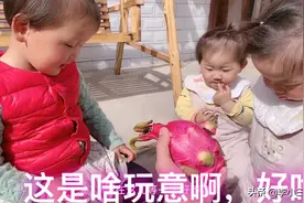 双胞胎三姐妹吃火龙果，这么奇怪东西好吃不？激动得摔个四脚朝天视频封面