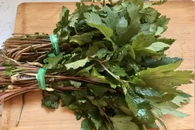 广东人春季经常喝的真珠花菜汤，去湿下火又营养，有家乡的味道视频封面