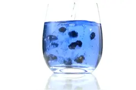 正宗青海野生黑枸杞视频封面