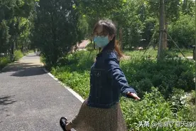 是夏天了！在小森林呼吸大自然的新鲜空气～图片