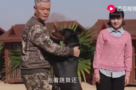 谁看过赵本山训练狗狗 还跳舞呢 没谁了？哈哈视频封面