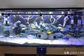 你的鱼缸水流声音大吗，想静音的看这里。不要错过视频封面