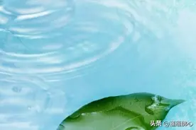 从哪里来到哪里去，人们永久在探索。诗词对于生命又作何解释！图片