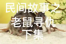老鼠寻仇  下集视频封面