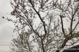 认识的人不多了图片