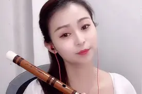 笛子演奏：泉水叮咚响视频封面