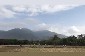 立春了，小雪家洒石灰做底肥，这样种出来花生特别好，很饱满视频封面