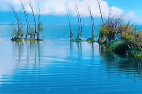 桂林山水甲天下啊太美太美了，仿佛走进仙境一般，再也不想走出来