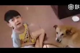 温柔的人是人间宝藏！视频封面