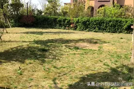 实拍 蜀山区的联排别墅边套 院子200平 紧邻植物园 环境很棒视频封面