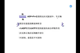 ATp和ADP转化解析