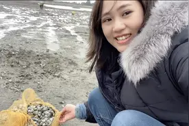 湛江姑娘二吖今天回外婆家赶海贝壳多到没人要抓了满满一袋好过瘾视频封面