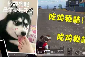 吃鸡有趣小技巧 1.0 娱乐实战兼备小技巧，最后还有舔包秘籍