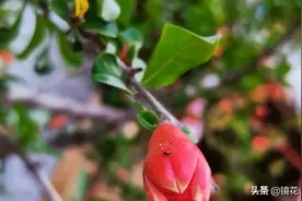 贪得一场镜花水月，终得一场曲终人散！图片