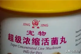 首创+原创宠物猫狗益生菌丸口感好猫狗自己爱抢着吃减少粪便臭气图片