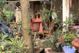 实拍农村男孩与女孩订婚，男方一般给女孩12000元红包，你们呢？视频封面