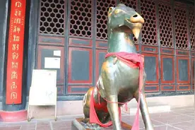 十二生肖化身的独角铜羊，据说摸了铜羊可治百病视频封面