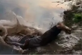 蛆爬表演终极版，一个狠过一个，你敢上水泥地，我就敢往水里潜视频封面