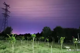 今天的天空怎么会是紫色的呀？图片