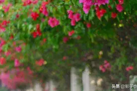 合租的室友会日久生情吗图片