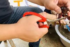 老师傅教我处理小龙虾方法，只需3个步骤一分钟，轻松洗干净视频封面