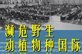 《濒危野生动植物种国际贸易公约》华盛顿公约（CITES）视频封面