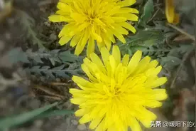 龙应台说:“我愿意等上一辈子的时间……孩子，你慢慢来。”图片