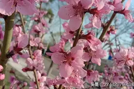 人的一生啊！图片